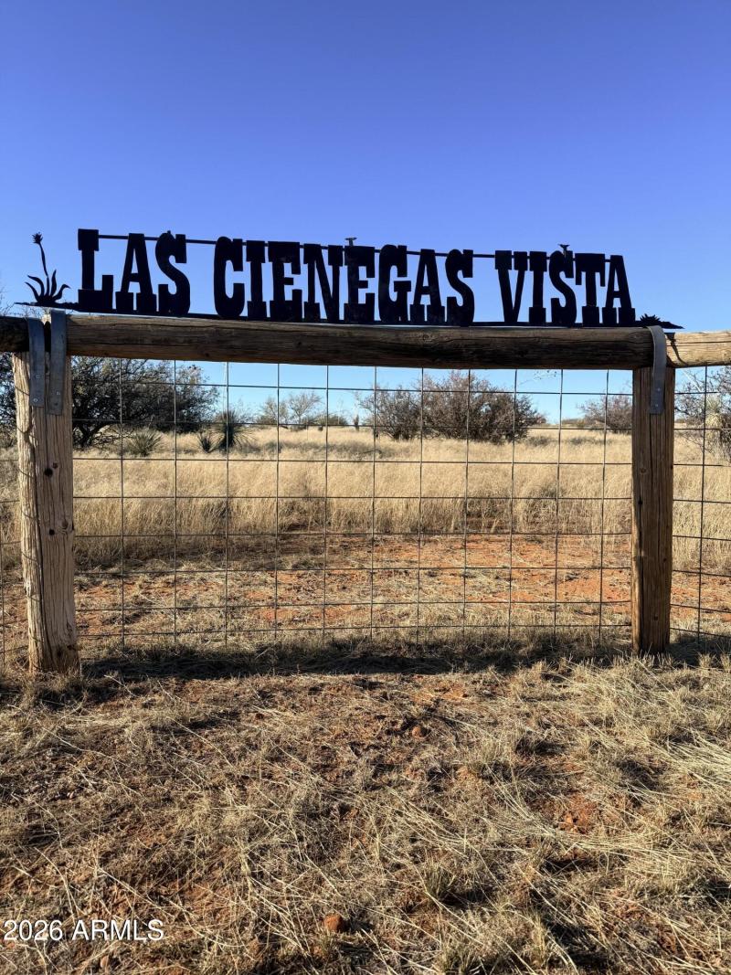 mt rain las cienegas