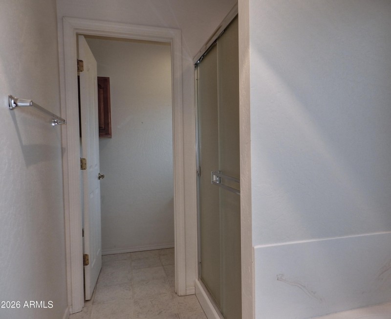 Master Walk-in Shower