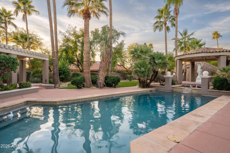 024_Pool Peace and Enjoyment