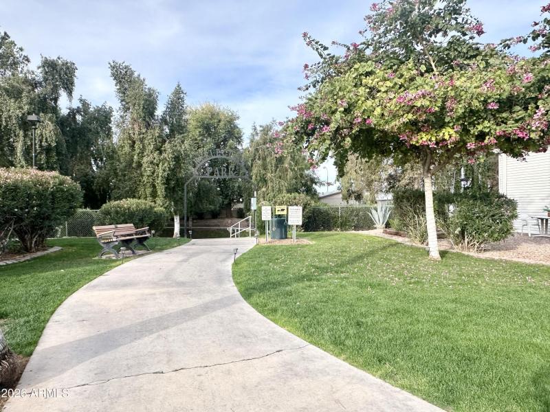 YOUR PET WILL LOVE THE PARK