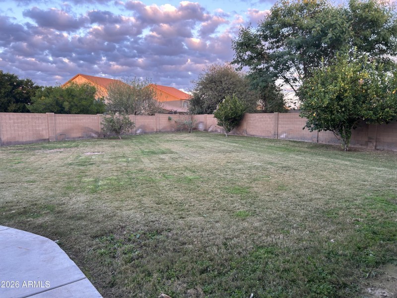 Backyard