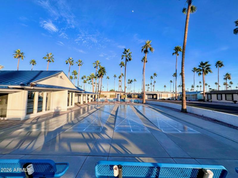 PalmGardens_Shuffleboard-1