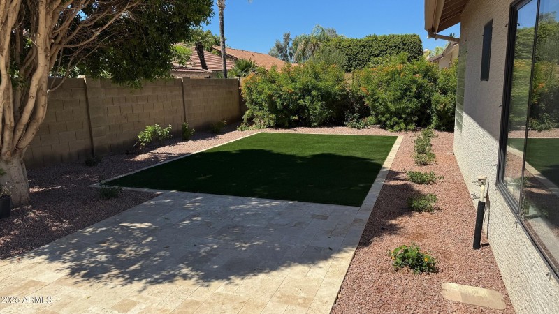 back yard