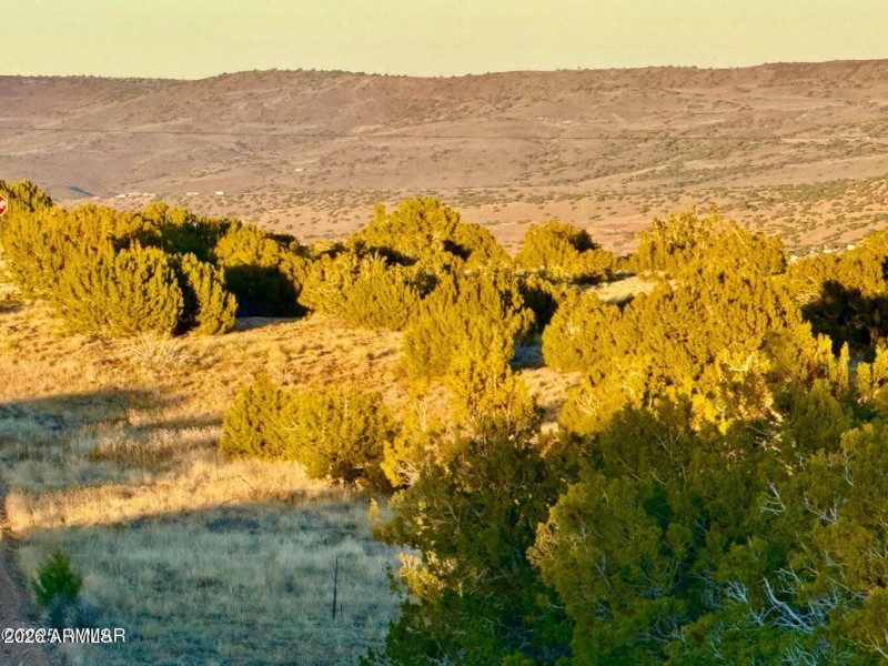 20251204055034540539000000-o