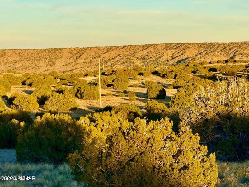 20251204055017883835000000-o