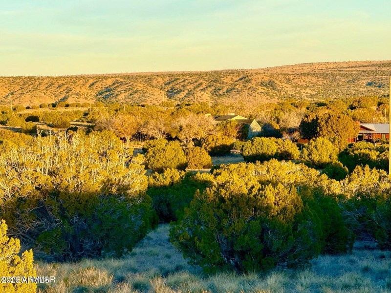 20251204055101408785000000-o