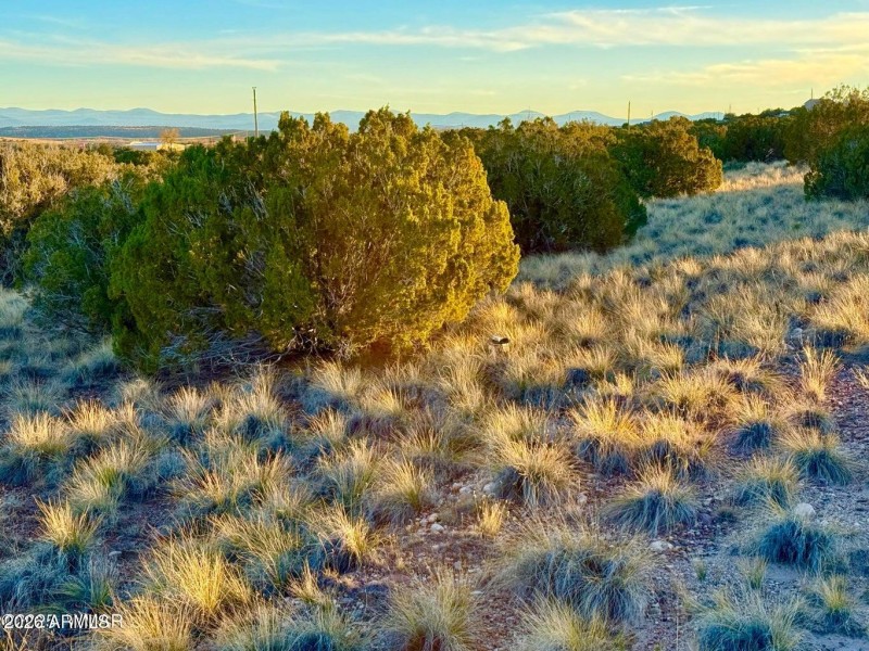 20251204055523797778000000-o