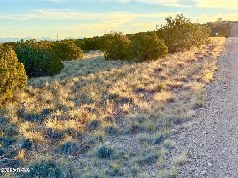 20251204055549547869000000-o