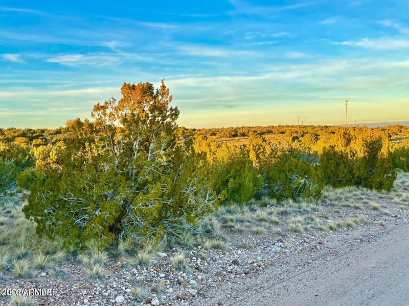 20251204055718038902000000-o