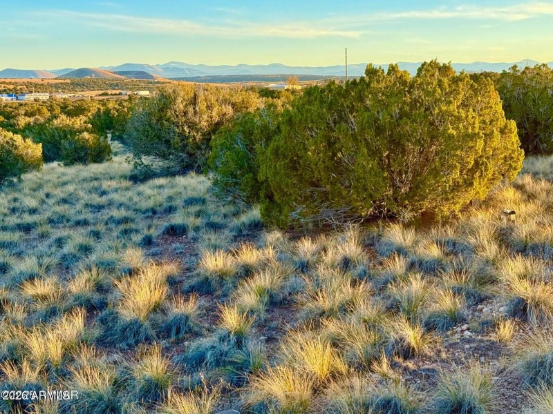 20251204055650356325000000-o