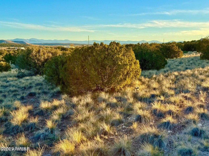 20251204060229094414000000-o