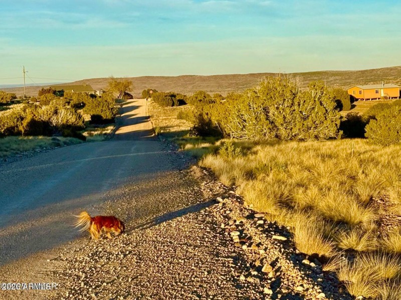 20251204060622378659000000-o