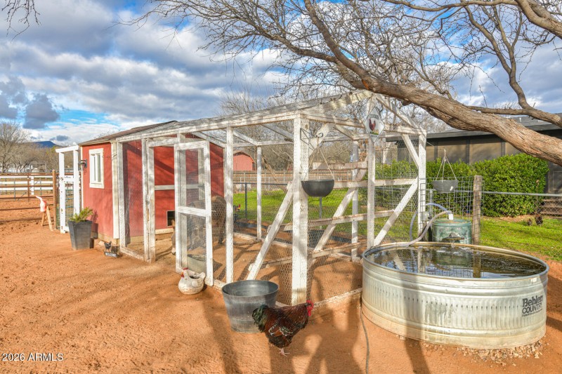 Chicken Coop