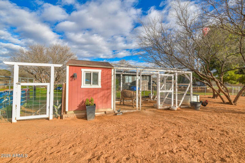 Chicken Coop