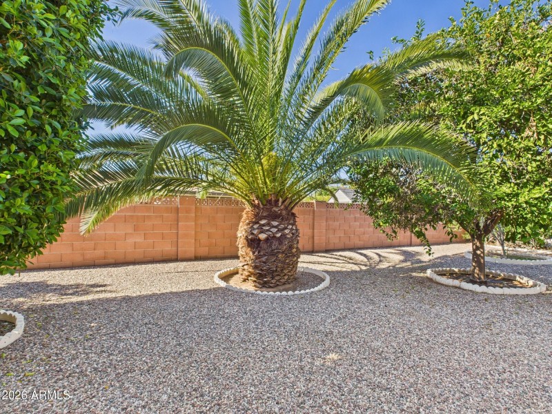 Vibrant Green Landscape—All Year Long