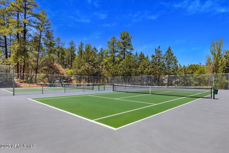 Pickle Ball Court