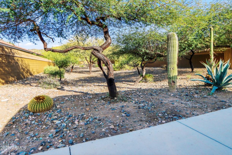 Natural Open Space on South Side