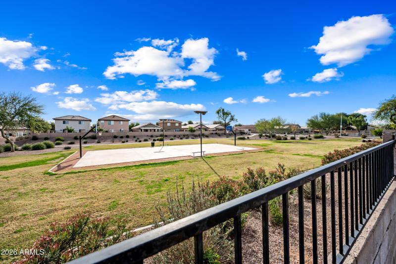 BACKS TO COMMUNITY PARK