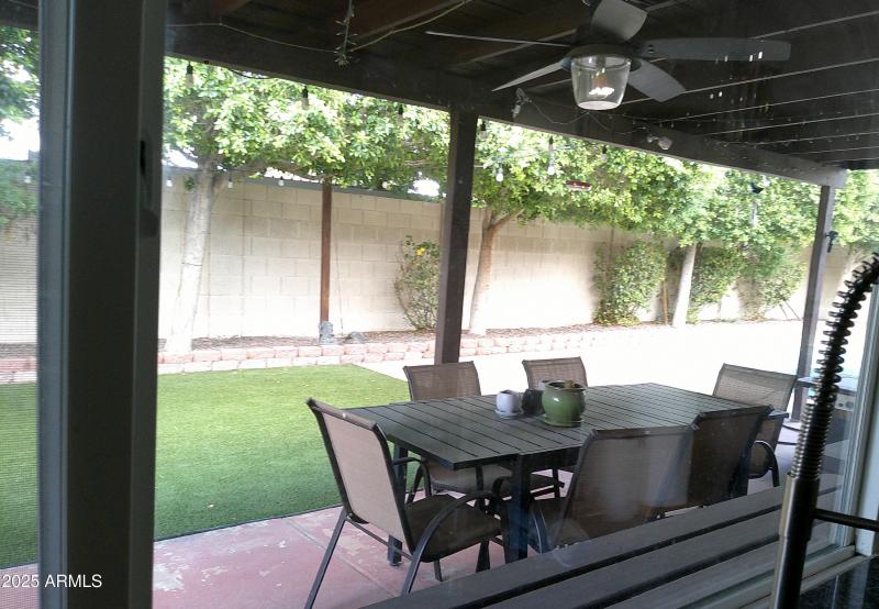 View from Kitchen to Backyard