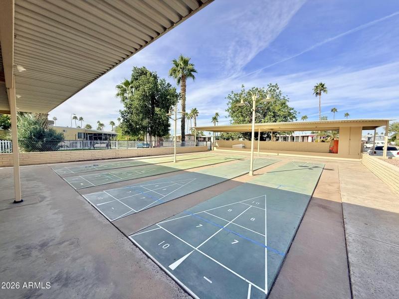 Shuffleboard