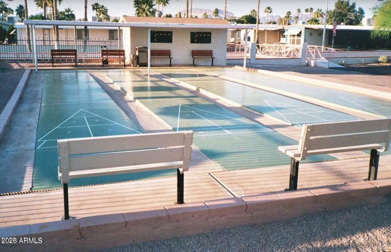SHUFFLEBOARD HOLIDAY PALMS