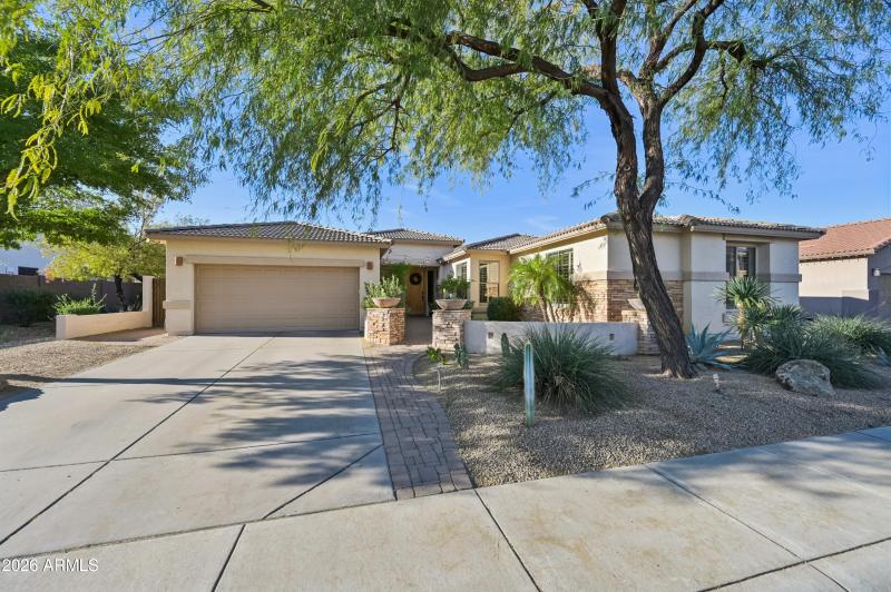 3-print-W Hedgehog Pl-S3012-003