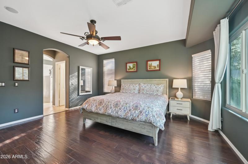 27-print-W Hedgehog Pl-S3012-027