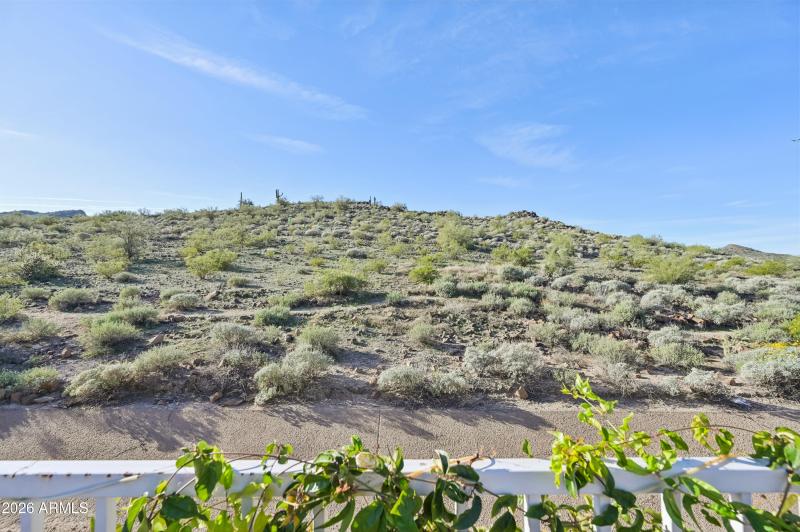 40-print-W Hedgehog Pl-S3012-040