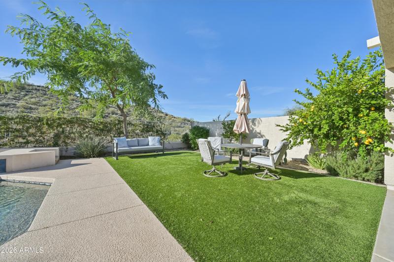 45-print-W Hedgehog Pl-S3012-045