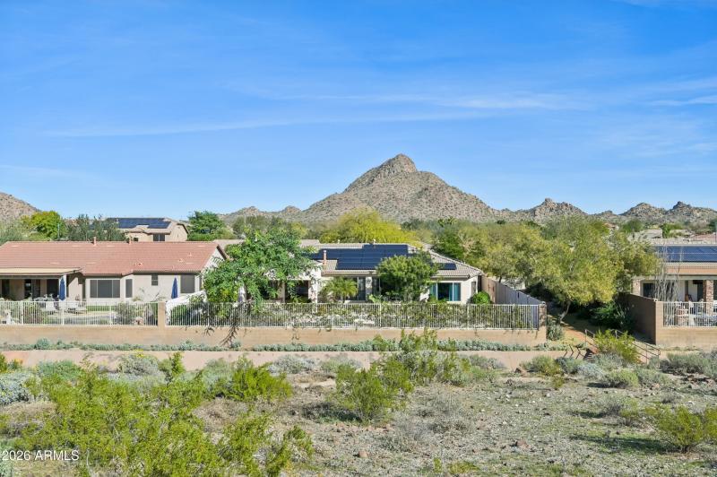 50-print-W Hedgehog Pl-S3012-050