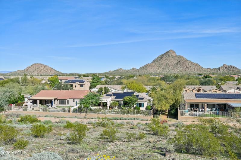 51-print-W Hedgehog Pl-S3012-051