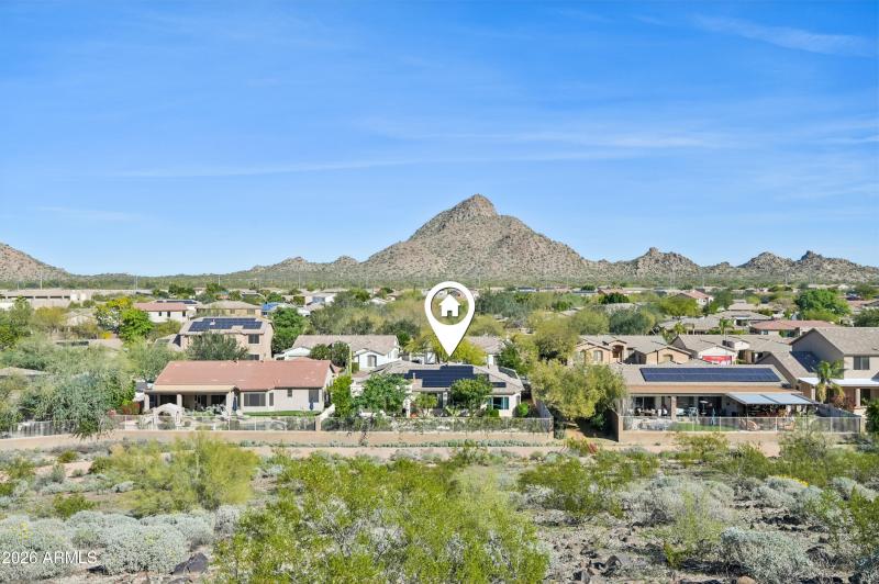 53-print-W Hedgehog Pl-S3012-053