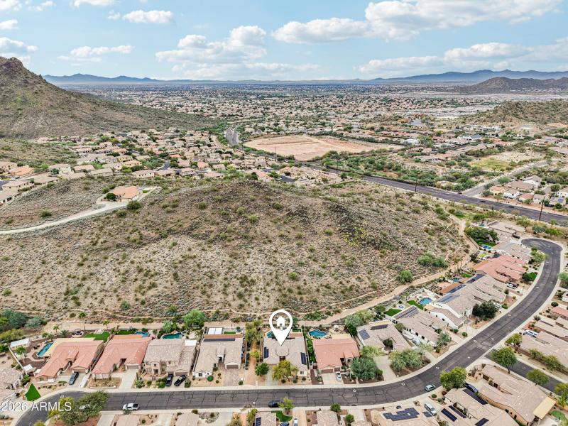 69-print-W Hedgehog Pl-S0201-009