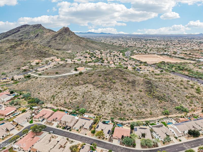 71-print-W Hedgehog Pl-S0201-011