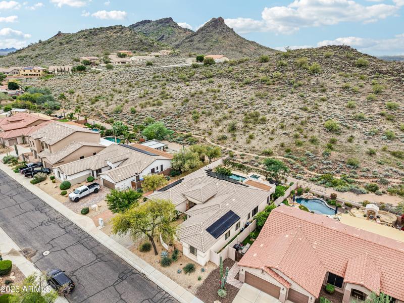 72-print-W Hedgehog Pl-S0201-012