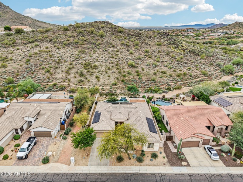 73-print-W Hedgehog Pl-S0201-013