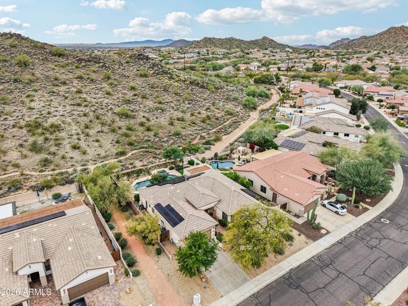 74-print-W Hedgehog Pl-S0201-014