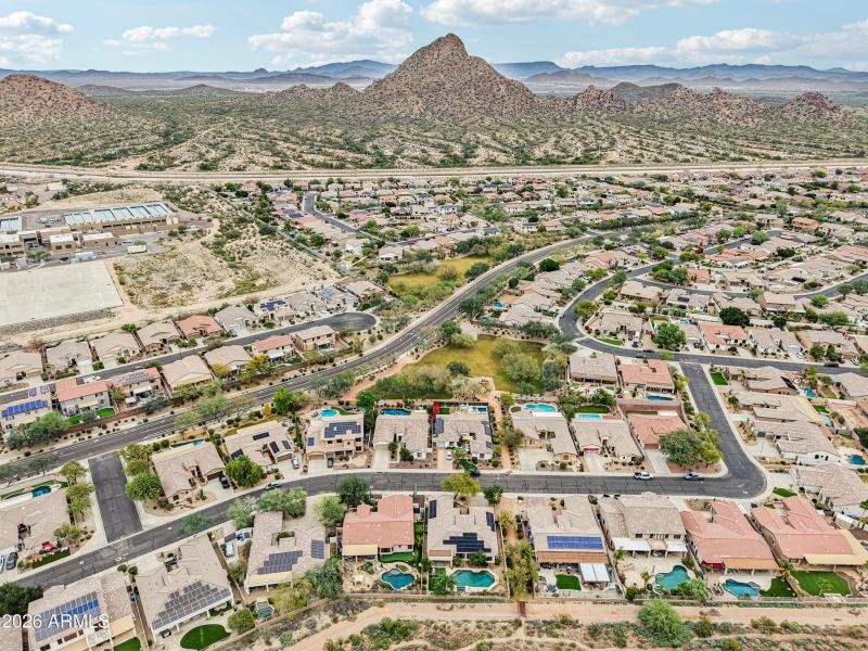 76-print-W Hedgehog Pl-S0201-016