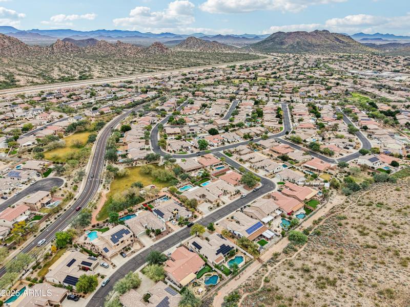 77-print-W Hedgehog Pl-S0201-017