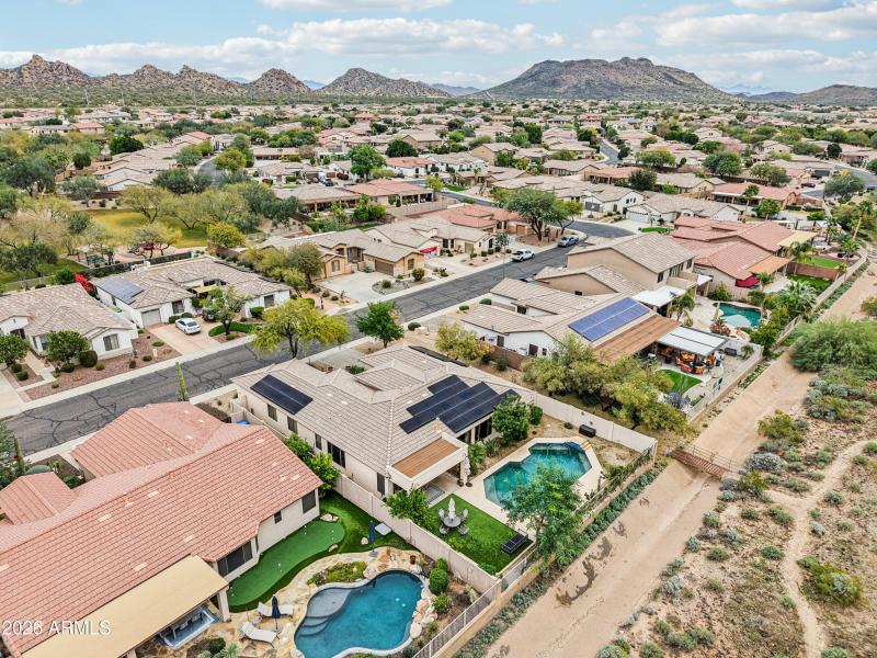 78-print-W Hedgehog Pl-S0201-018