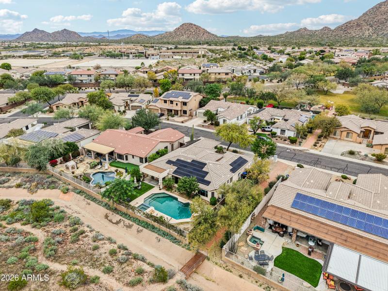 80-print-W Hedgehog Pl-S0201-020