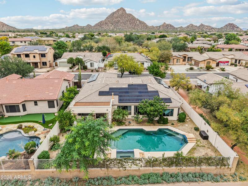 82-print-W Hedgehog Pl-S0201-022