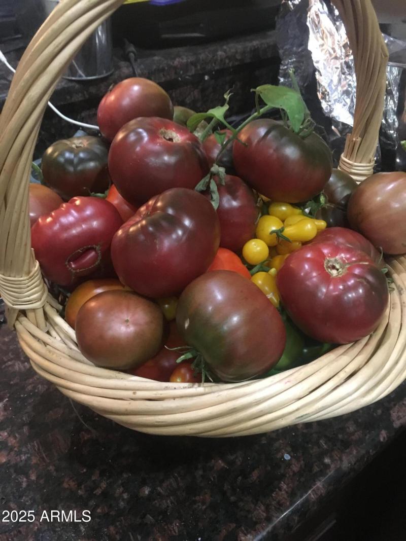 Heirloom Tomatoes