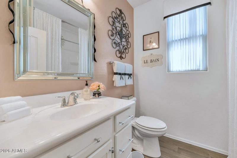 Guest or Hall Bathroom