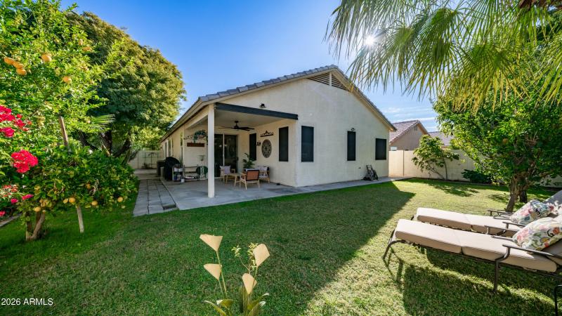 25084 N 68th Ave Exterior Photos-10