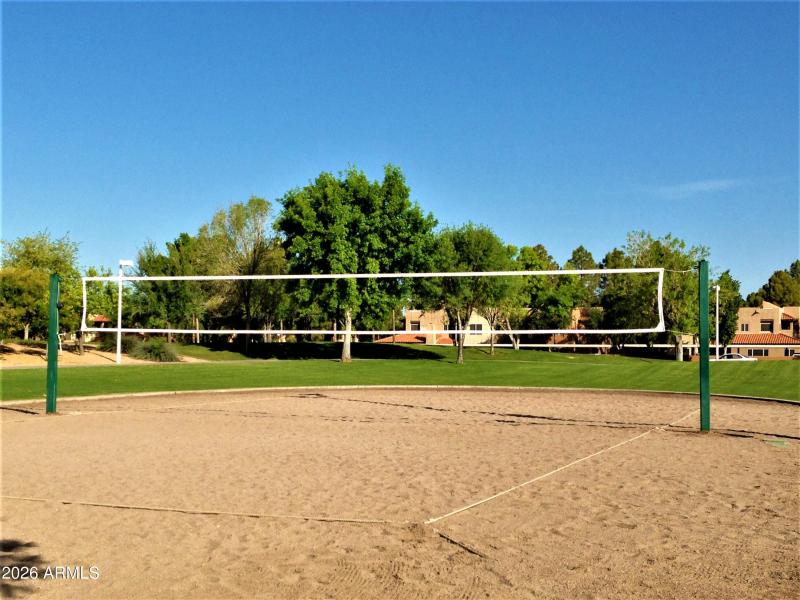 Volleyball at Comm. Park