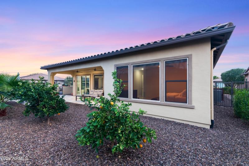 Your own fruit trees