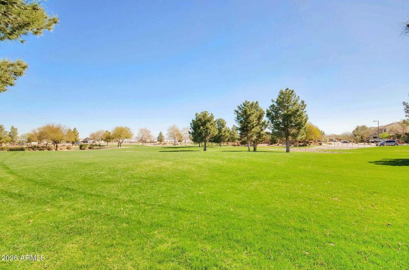 72-web-or-mls-ZDSC_8918