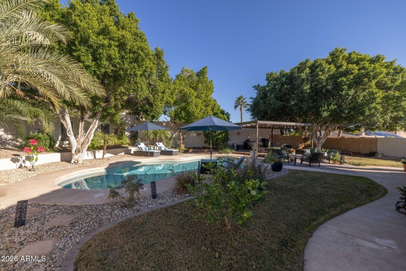 Fruit Tree and Shade!