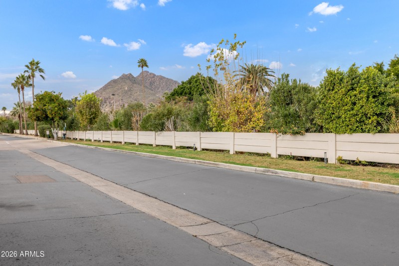 40_view in the neighborhood